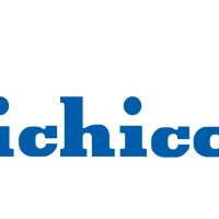 尼吉康半导体 尼吉康半导体